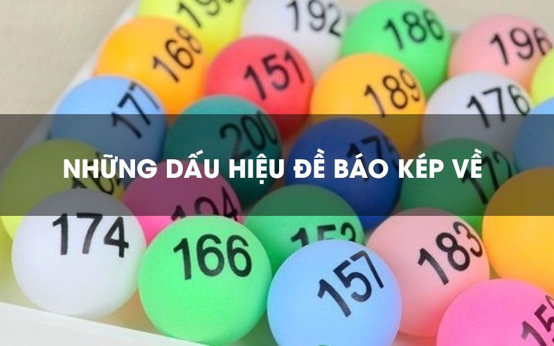 Khái niệm về đề kép và các dạng đề kép phổ biến nhất hiện nay