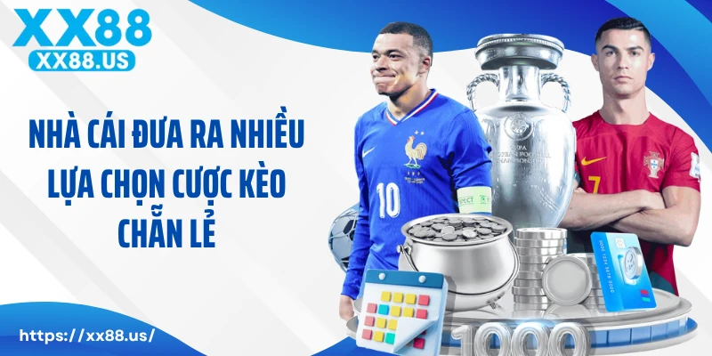 Nhà cái đưa ra nhiều lựa chọn cược kèo chẵn lẻ